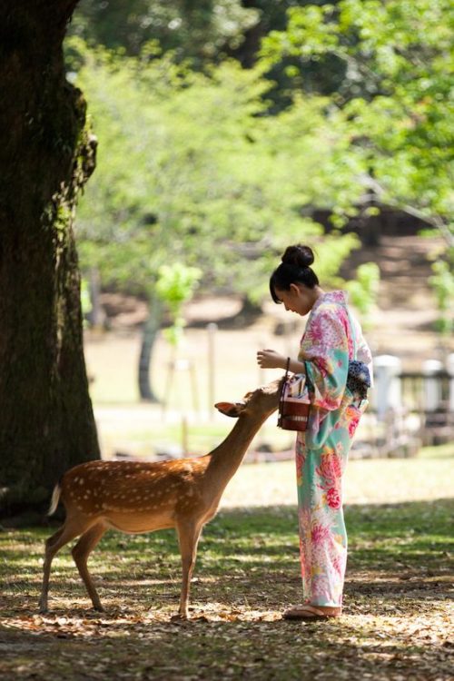 10 experiențe pe care trebuie să le încerci în Japonia - RevistaMargot.ro