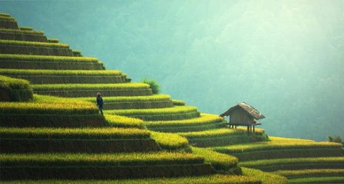 Vietnamul urban și rural - 3 orașe și 3 atracții naturale din Vietnam - travelandbeauty.ro