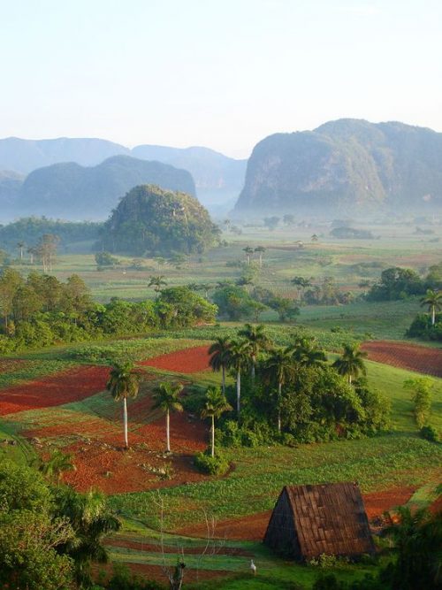 Sfaturi practice pentru o vizită în Cuba - travelandbeauty.ro