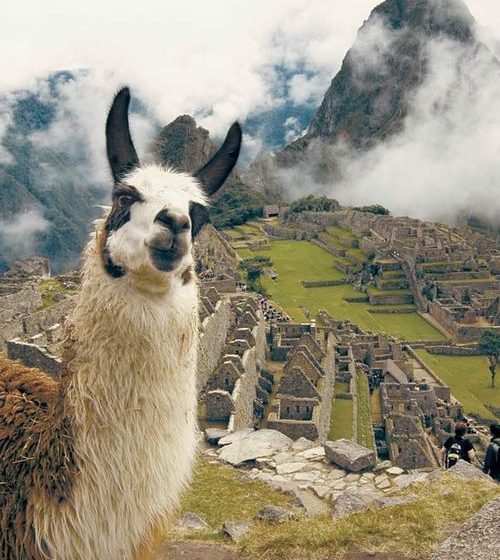 Machu Picchu – o aventură de neuitat - travelandbeauty.ro