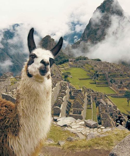 Machu Picchu – o aventură de neuitat - travelandbeauty.ro