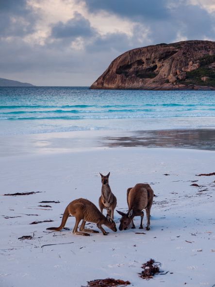 5 minuni naturale de vizitat în Australia - travelandbeauty.ro