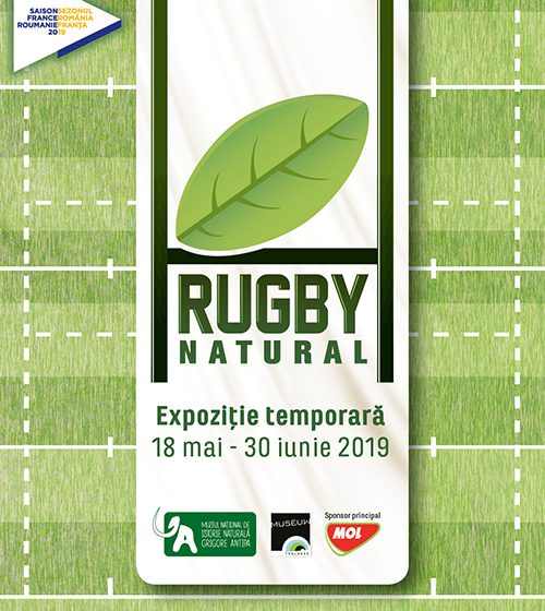 RUGBY, NATURAL! - travelandbeauty.ro