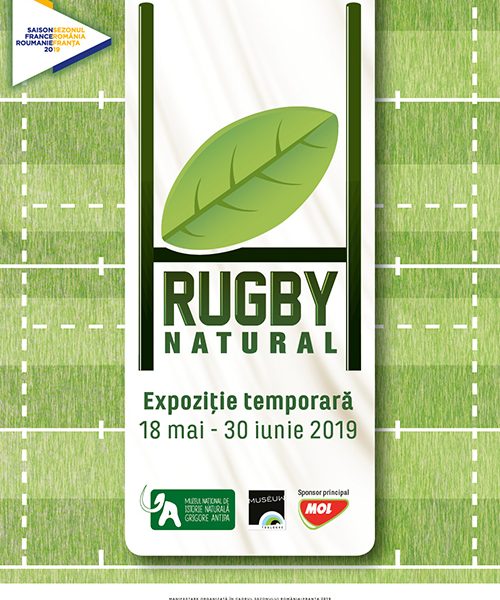 RUGBY, NATURAL! - travelandbeauty.ro